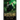 The Greensward - Pitch & Sickle Book Four