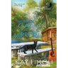 The Black Cat Breaks a Mirror