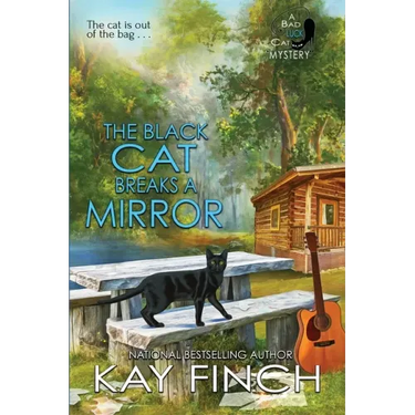 The Black Cat Breaks a Mirror