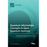 Quantum Information Concepts in Open Quantum Systems