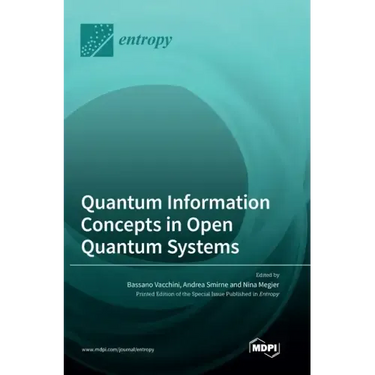 Quantum Information Concepts in Open Quantum Systems