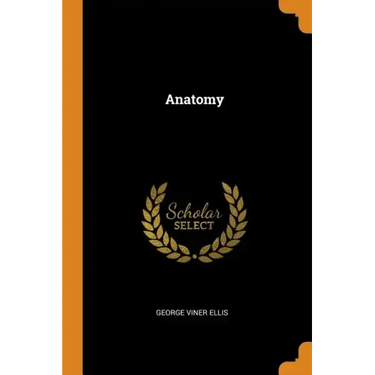 Anatomy