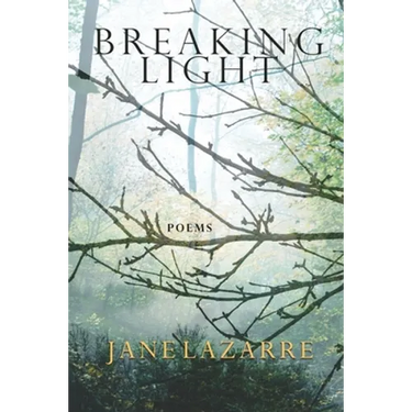 Breaking Light