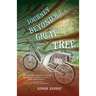 Journey Beyond the Great Tree