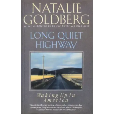 Long Quiet Highway: Waking Up in America