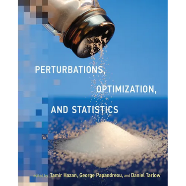 Perturbations, Optimization, and Statistics