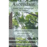 Ascendant: Modern Essays on Polytheism and Theology