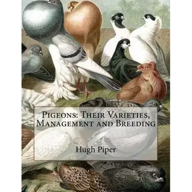 Pigeons: Their Varieties, Management and Breeding
