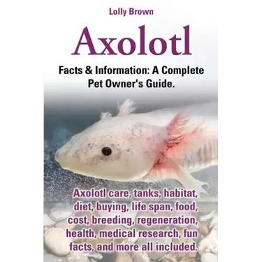 Axolotl. Axolotl Care, Tanks, Habitat, Diet, Buying, Life Span, Food, Cost, Breeding, Regeneration, Health, Medical Research, Fun Facts, and More All