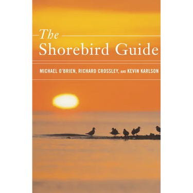 The Shorebird Guide