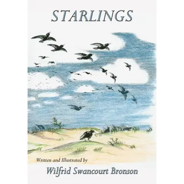 Starlings