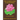 The Symbolisms in Buddhism: A Clear, Engaging, And In-depth Writing On The Buddha's Philosophies With Many Life Examples. Learn How To Put His Tea