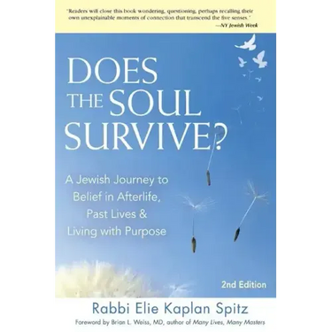 Does the Soul Survive? (2nd Edition): A Jewish Journey to Belief in Afterlife, Past Lives & Living with Purpose