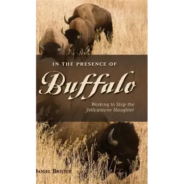 In the Presence of Buffalo: Working to Stop the Yellowstone Slaughter