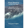 Whale Watching in Hervey Bay: the whale watch capital of the world