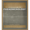 Introduction to Phenomenology