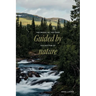 Guided by the rhythm of nature: The wheel of the year