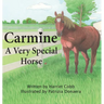 Carmine: A Very Special Horse