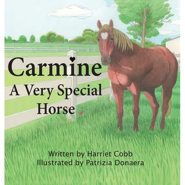 Carmine: A Very Special Horse