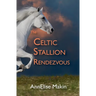 The Celtic Stallion Rendezvous