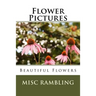 Flower Pictures: Flowers Photos
