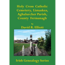 Holy Cross Catholic Cemetery, Lisnaskea, Aghalurcher Parish, County Fermanagh