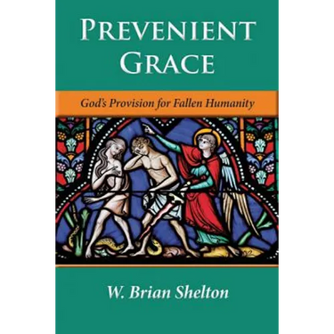 Prevenient Grace: God's Provision for Fallen Humanity