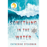 Something in the Water: Reese's Book Club: A Novel