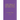 A Brief History of Chemung County, New York, 1779 -1905 with Index