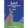 Lost: The Adventures of Boomer and Matilda