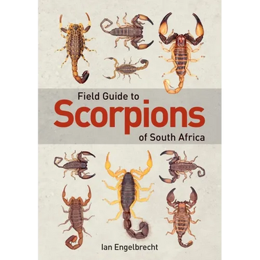 Field Guide to Scorpions of South Africa