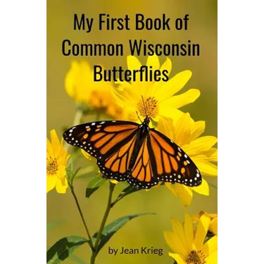 My First Book of Common Wisconsin Butterflies