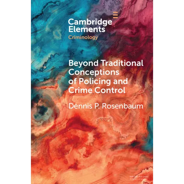 Beyond Traditional Conceptions of Policing and Crime Control