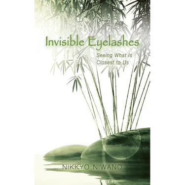 Invisible Eyelashes: Seeing What Is Closest to Us