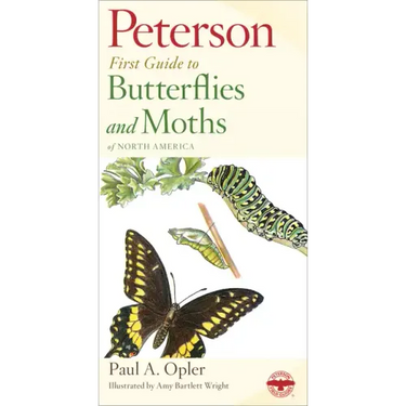 Peterson First Guide to Butterflies and Moths