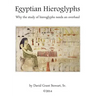 Egyptian Hieroglyphs: Why the study of Egyptian hieroglyphs needs an overhaul