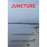 Juncture: A Lucena Burning Novel