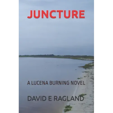 Juncture: A Lucena Burning Novel