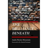 The Brilliance Beneath: The Power of Perspective in Urban Schools