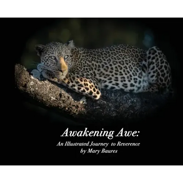Awakening Awe: An Illustrated Journey to Reverence