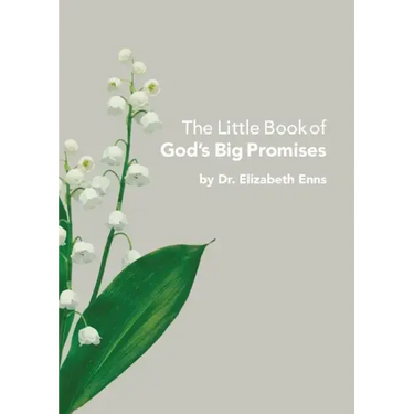 The Little Book of God's Big Promises