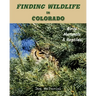 Finding Wildlife In Colorado: Birds, Mammals and Reptiles