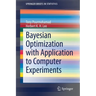 Bayesian Optimization with Application to Computer Experiments