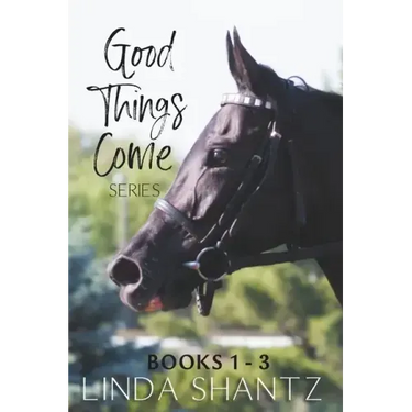 The Good Things Come Series: Books 1-3