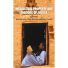 Intellectual Property and Theories of Justice