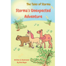 Storma's Unexpected Adventure