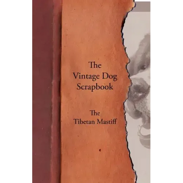 The Vintage Dog Scrapbook - The Tibetan Mastiff