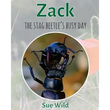 Zack: The stag beetle's busy day