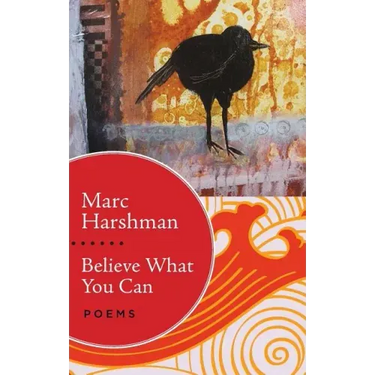 Believe What You Can: Poems