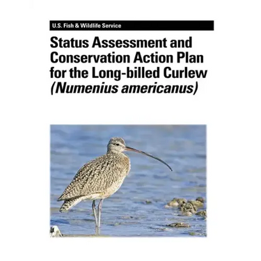 Status Assessment and Conservation Action Plan for the Long-billed Curlew (Numenius americanus)